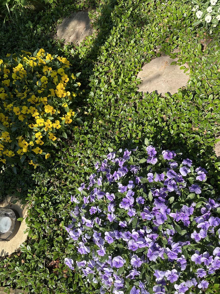 Grabgestaltung im Frühjahr | Friedhofsgärtnerei Burmester in Hamburg Bergedorf
