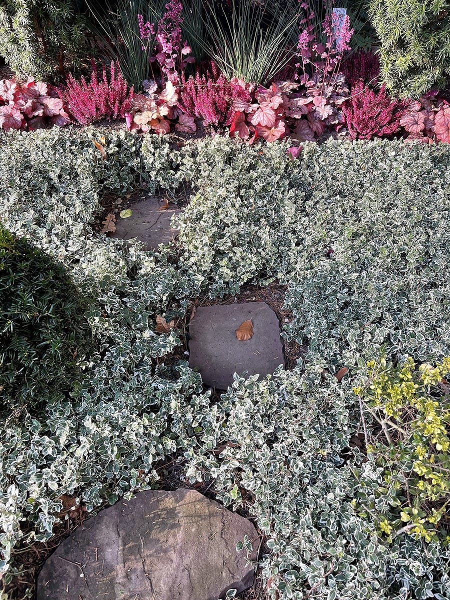 1 Grabgestaltung Herbst/Winter
Strukturbeet vor dem Stein in Rottönen