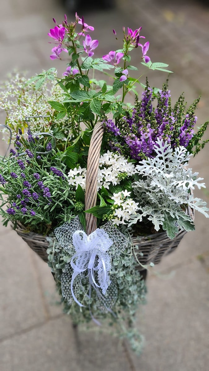 6 Pflanzkorb mit Herbstbepflanzung