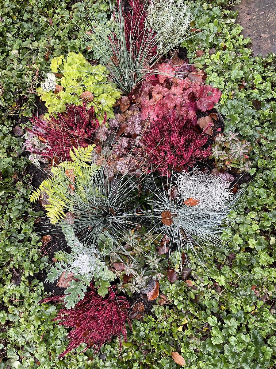 3 Grabgestaltung Herbst/Winter
Strukturbeet aus präparierter Heide, Blattpflanzen u. Gräsern