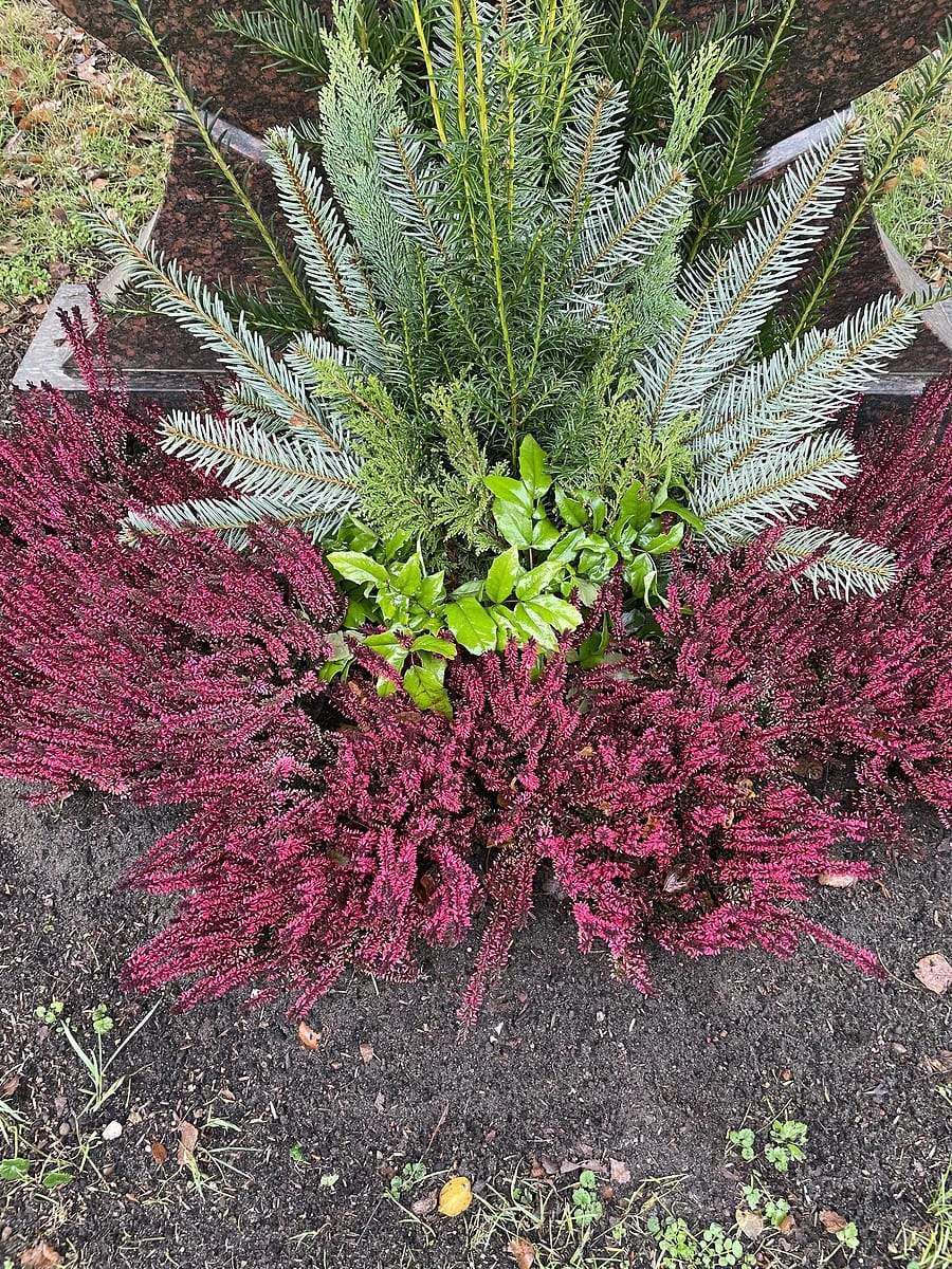 6 Grabgestaltung Sommer
Eisbegonien-Beet
Kreis