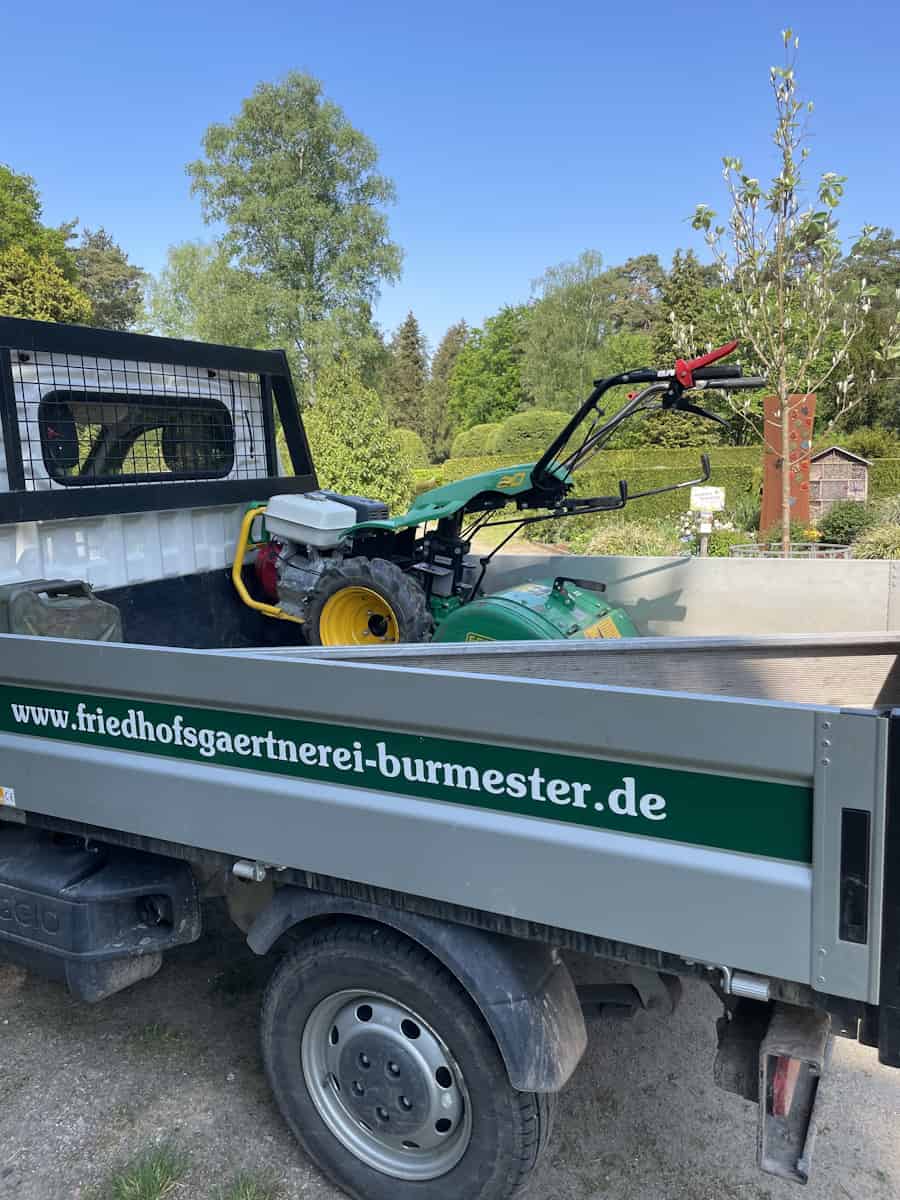 Unser Angebot: Rosa Hortensien für Ihren Garten