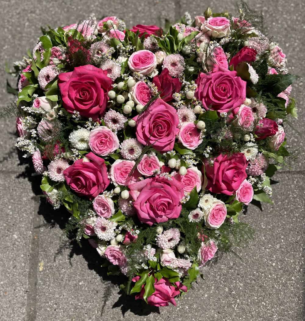Unser Angebot: Rosa Hortensien für Ihren Garten