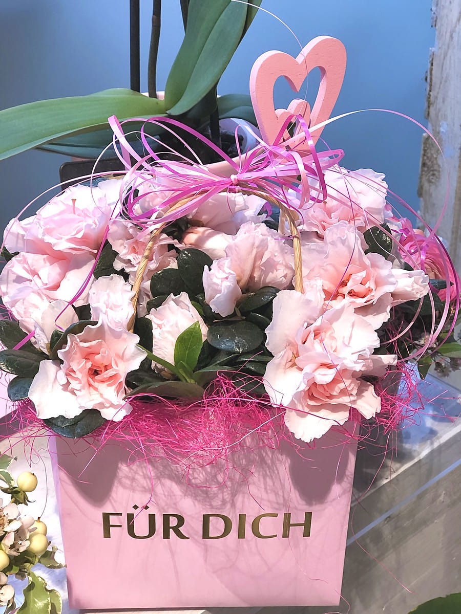 5 Pflanztasche mit blumigem Geschenk