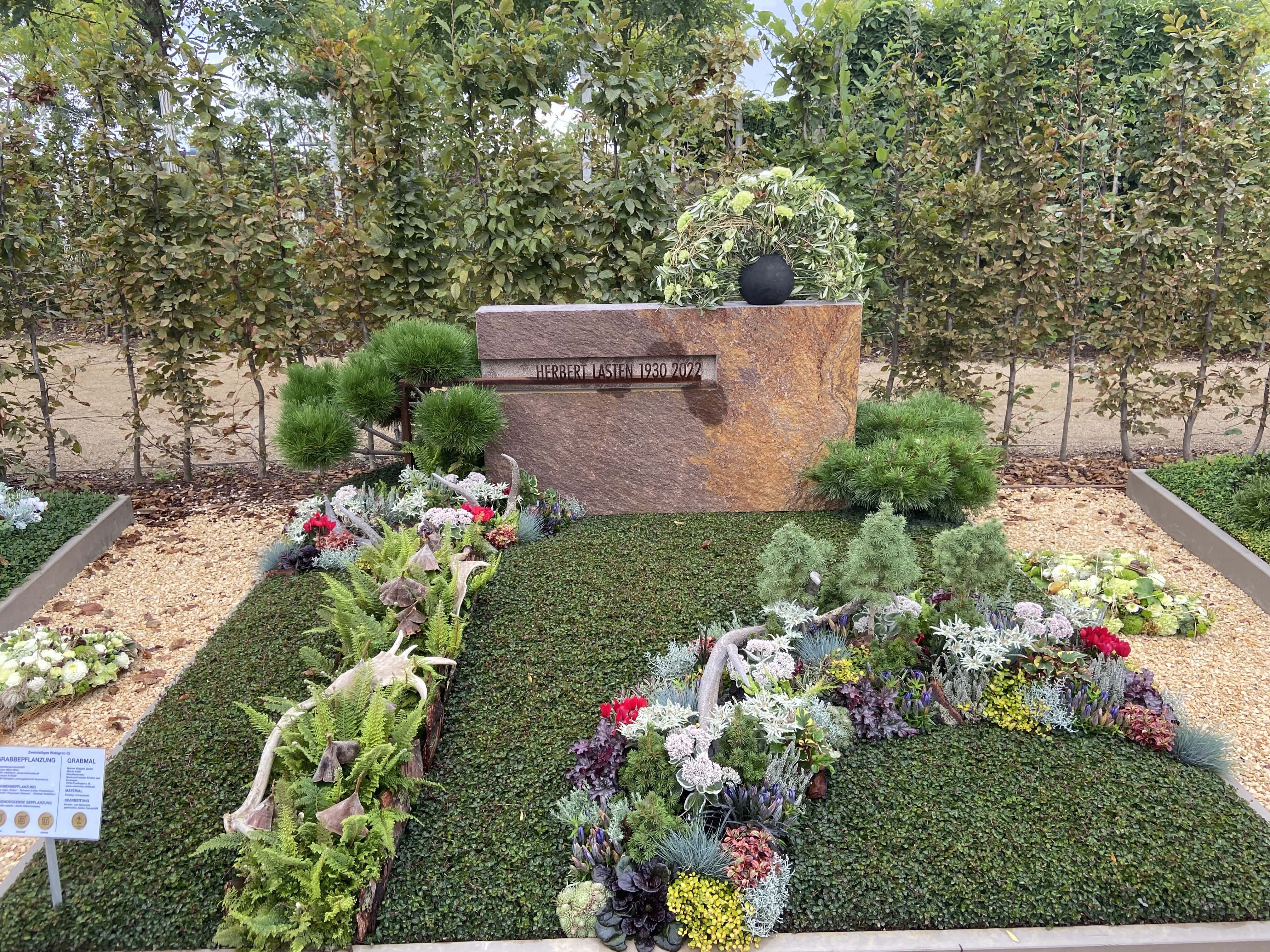 Unser Angebot: Rosa Hortensien für Ihren Garten