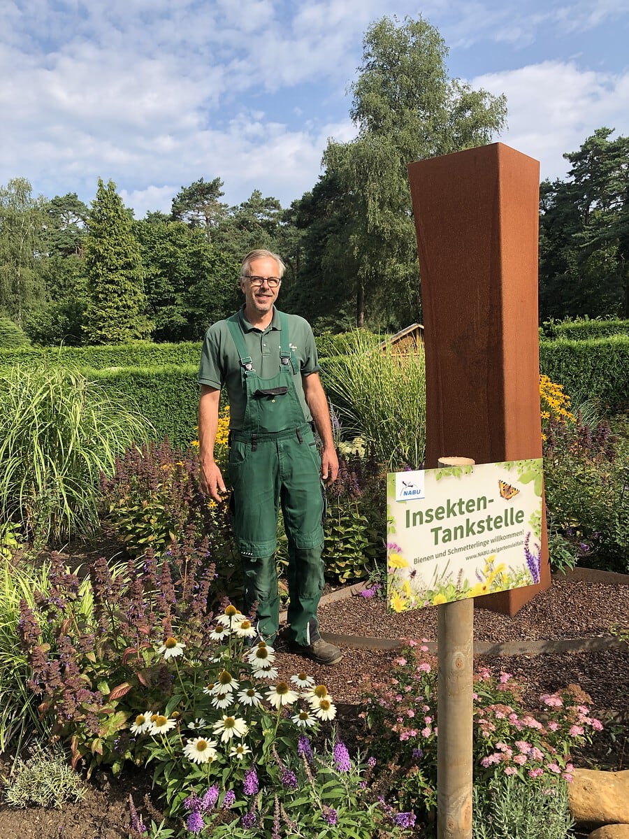 Staudengarten als Insektentankstelle