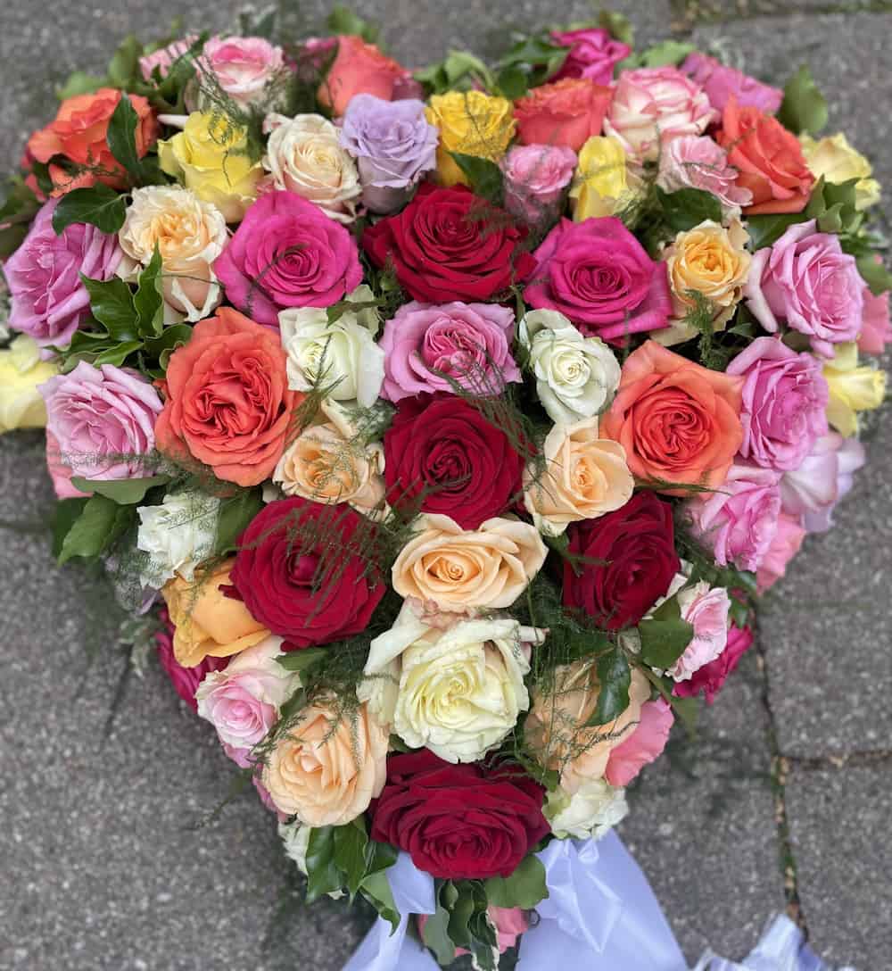 Unser Angebot: Rosa Hortensien für Ihren Garten