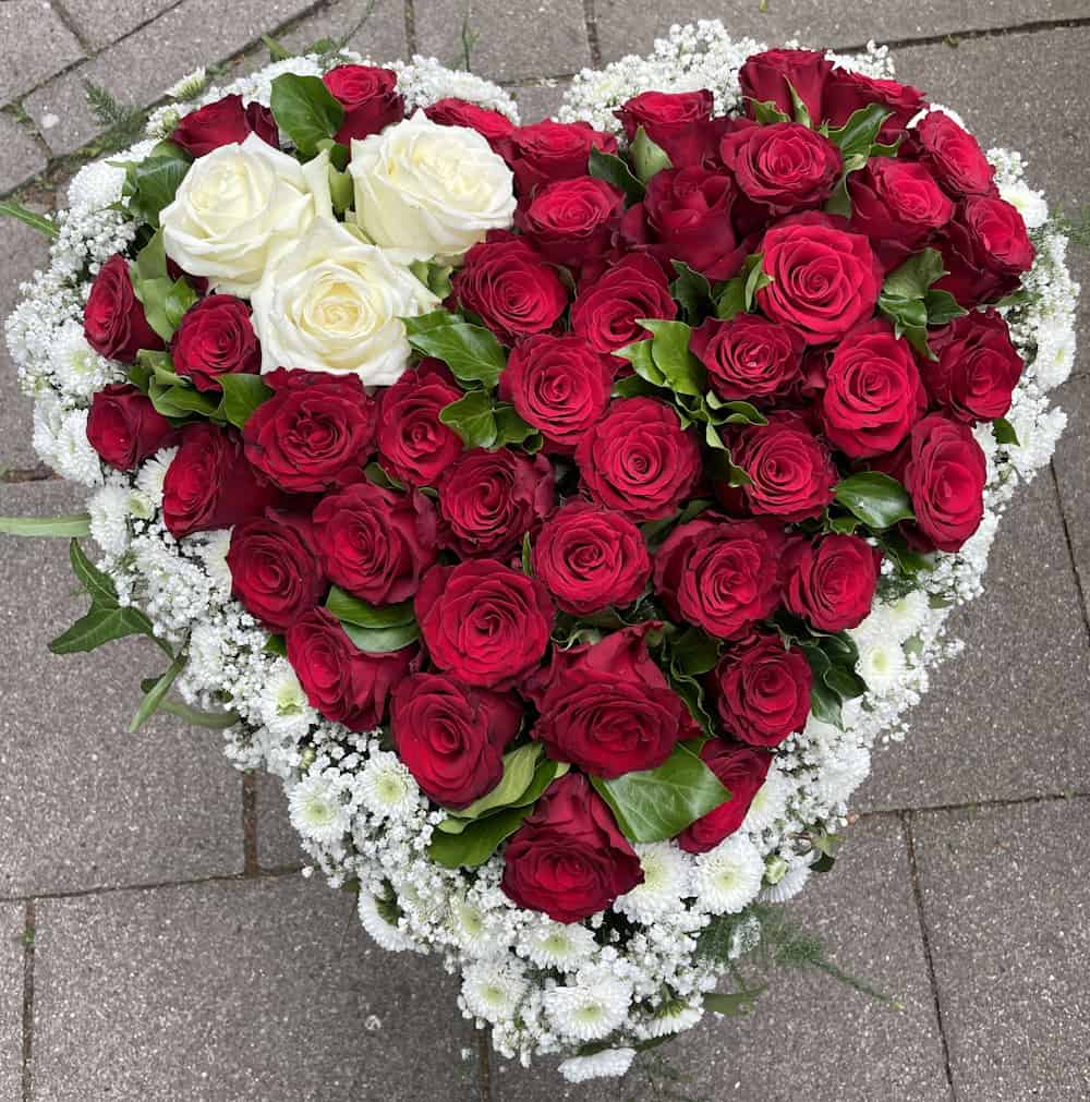 Unser Angebot: Rosa Hortensien für Ihren Garten